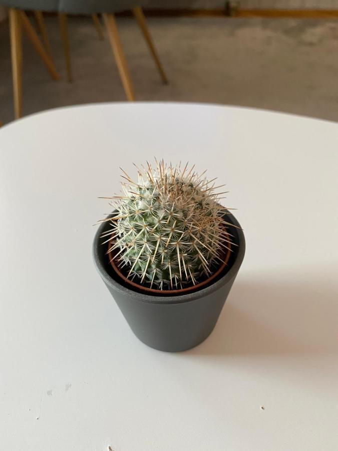 Apartment Cactus 021 Novi Sad Luaran gambar